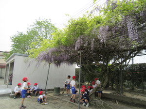 Img_0071 Img_0071