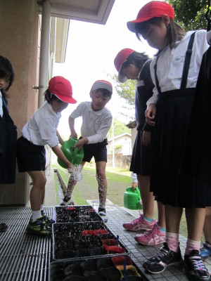 Img_0118_2 Img_0118_2