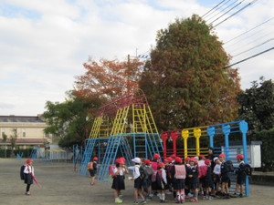 Img_0664 Img_0664