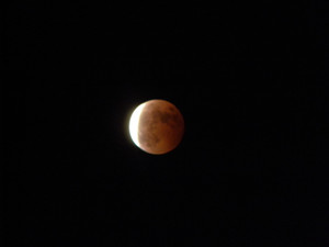 Dscn3527