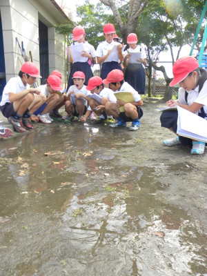 Dscn3543_2