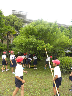 Dscn5241