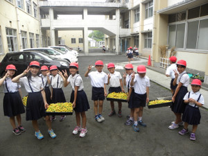 Dscn5244 Dscn5244