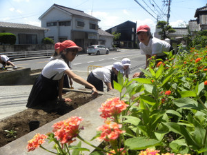 Dscn5255 Dscn5255