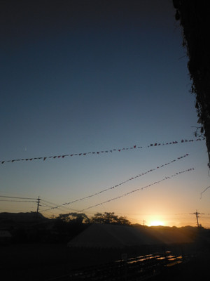 Dscf5914