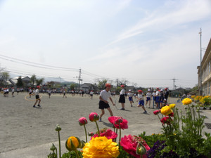 Dscn7063 Dscn7063