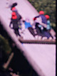 Dscf2755