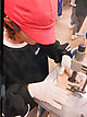 Dscf2776