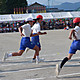 Dscf4241 Dscf4241