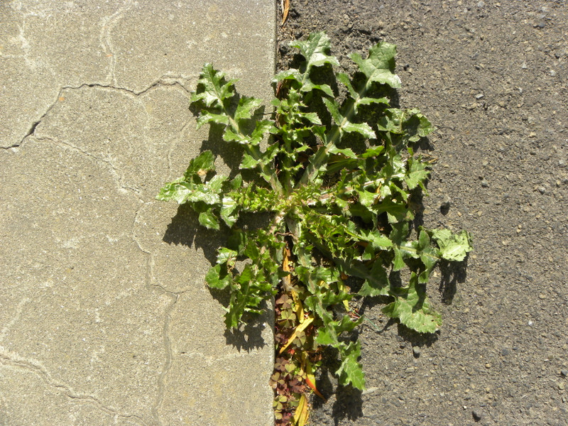 Dscn1783