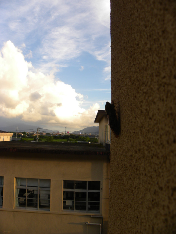 Dscn2659