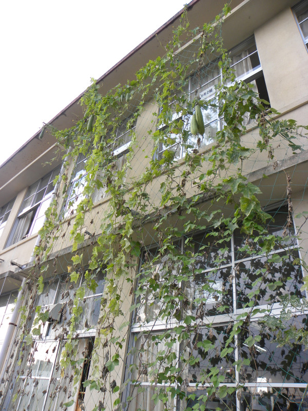 Dscn3182