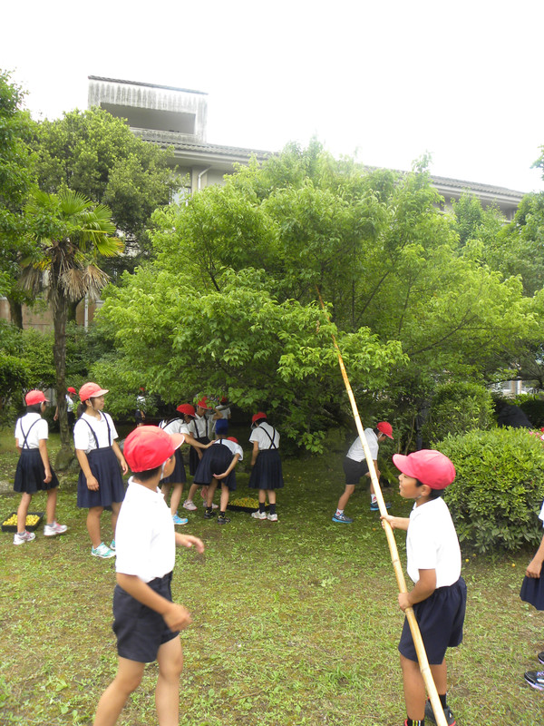 Dscn5241