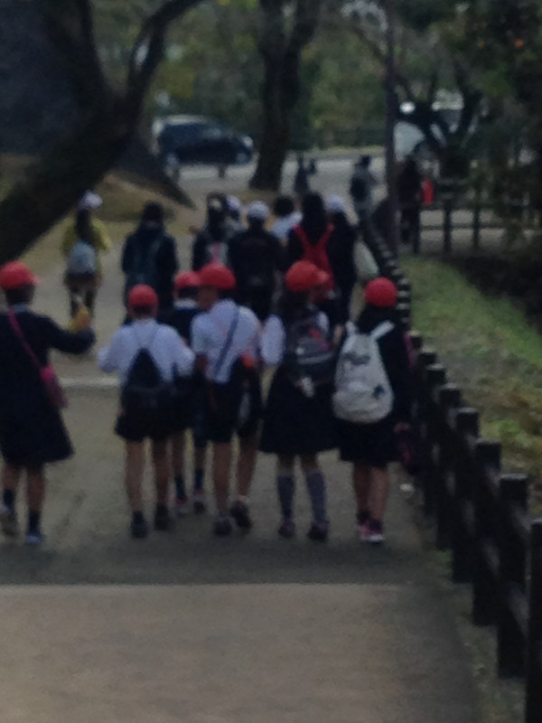 Image_3