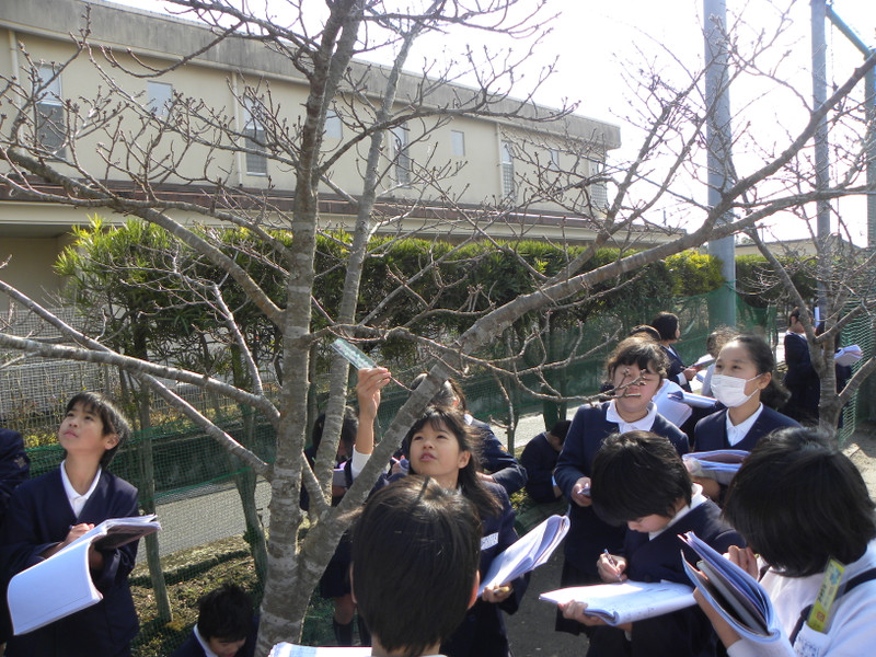 Dscn6493_2