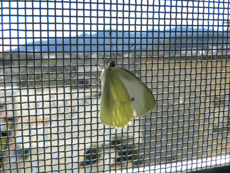 Dscn6792