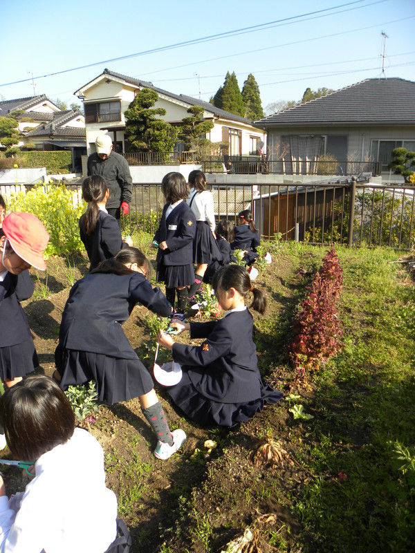 Dscn6884
