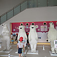 Img_2041