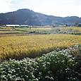 Dscf4616