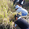 Dscf4639