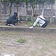 Dscf9113