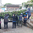 Dscf9517