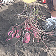 Dscf9969