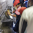 Dscf0140